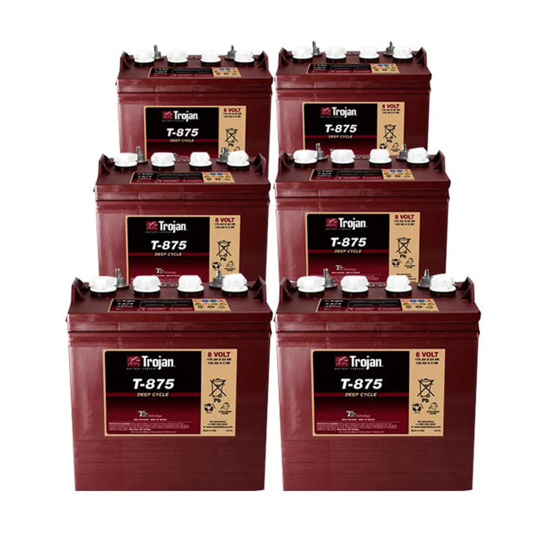 Trojan 8 Volt T-875 Golf Cart Battery 8V/170Ah (6 Pack - 48V)