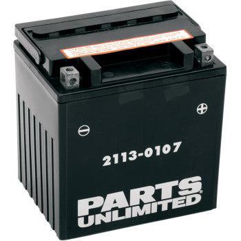 Parts Unlimited AGM Maintenance-Free Battery YIX30L-BS Maintenance Free