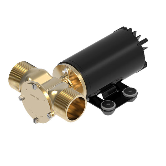 Johnson Pump Talulah High Flow Ballast Pump  30 GPM  12V 102493918